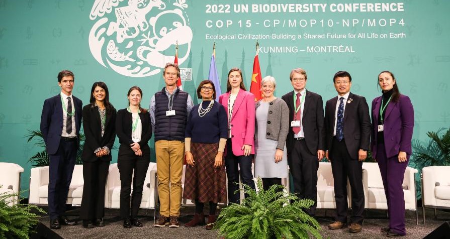Nations adopt the Kunming-Montreal Global Biodiversity Framework '